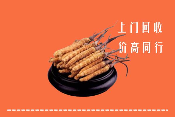 附近收购：崇信县冬虫夏草回收多少钱每克